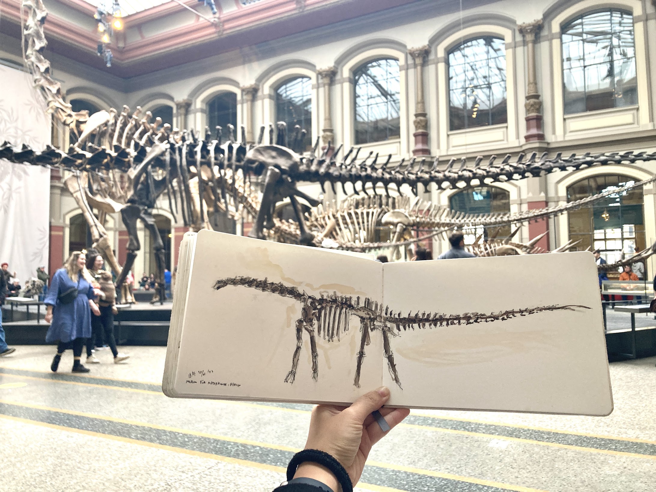 Museum für Naturkunde