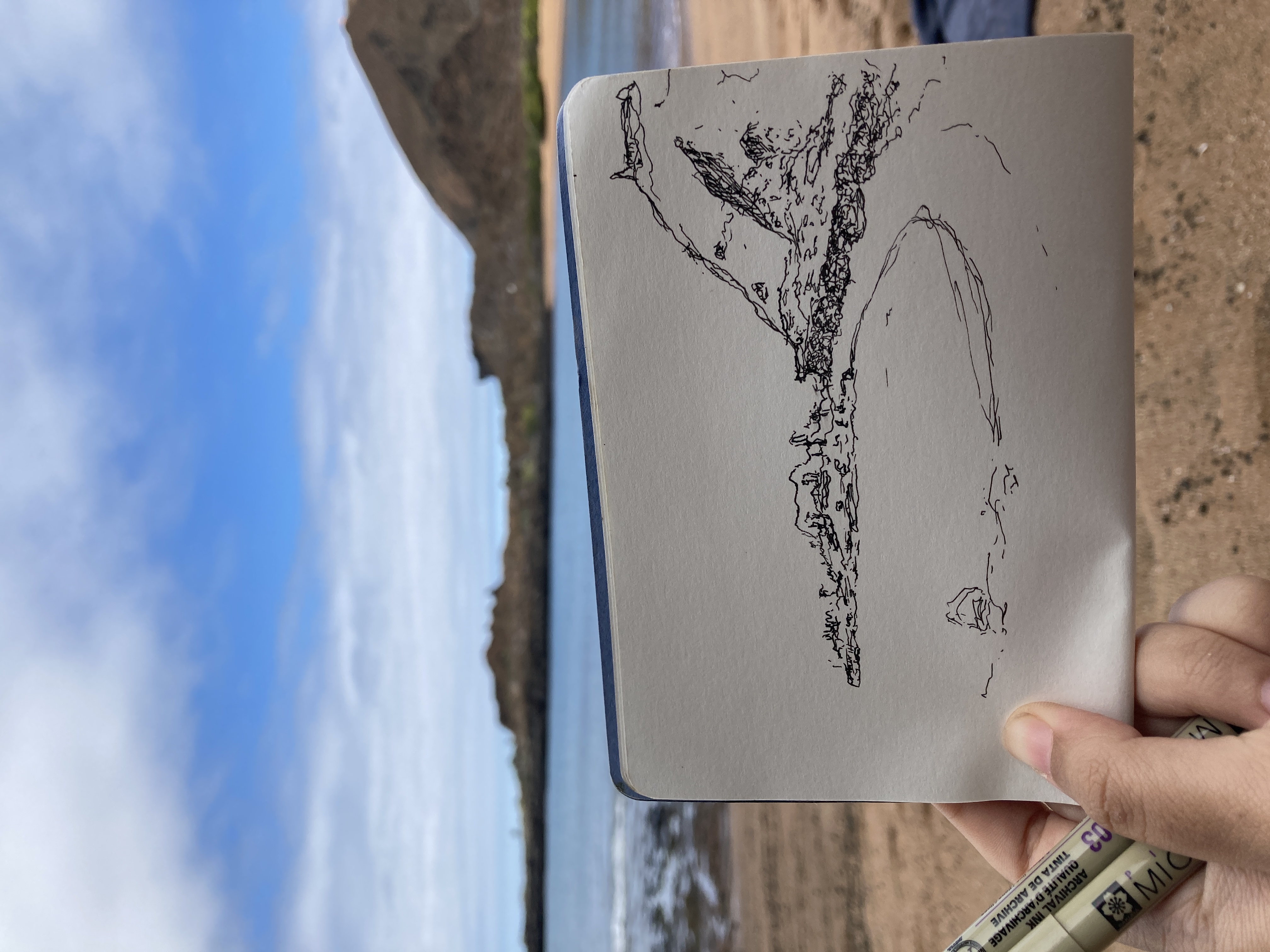 Galápagos beach