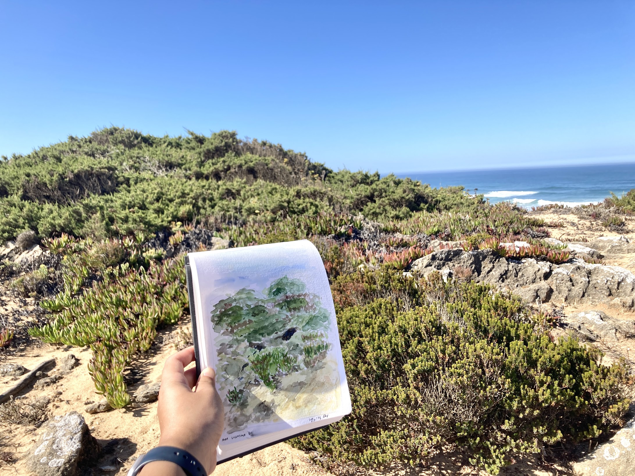 Rota Vicentina trail