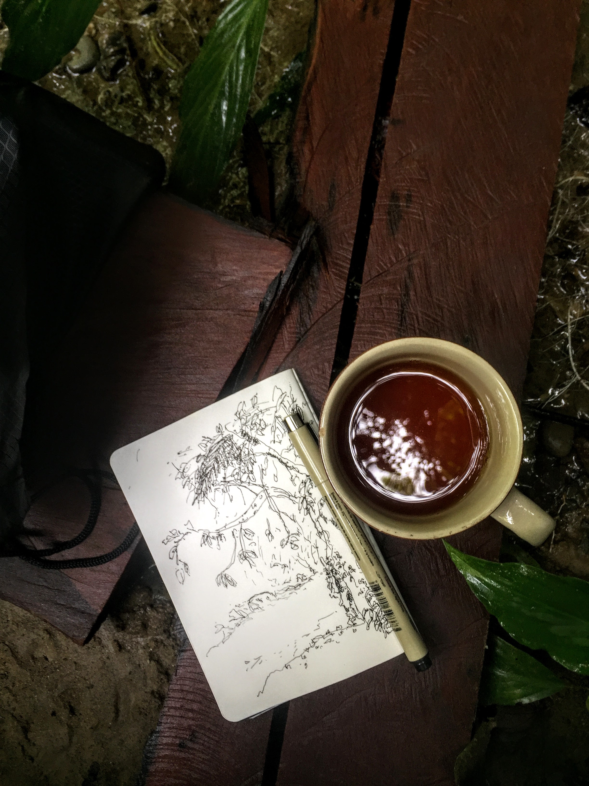 Tangkahan jungle
