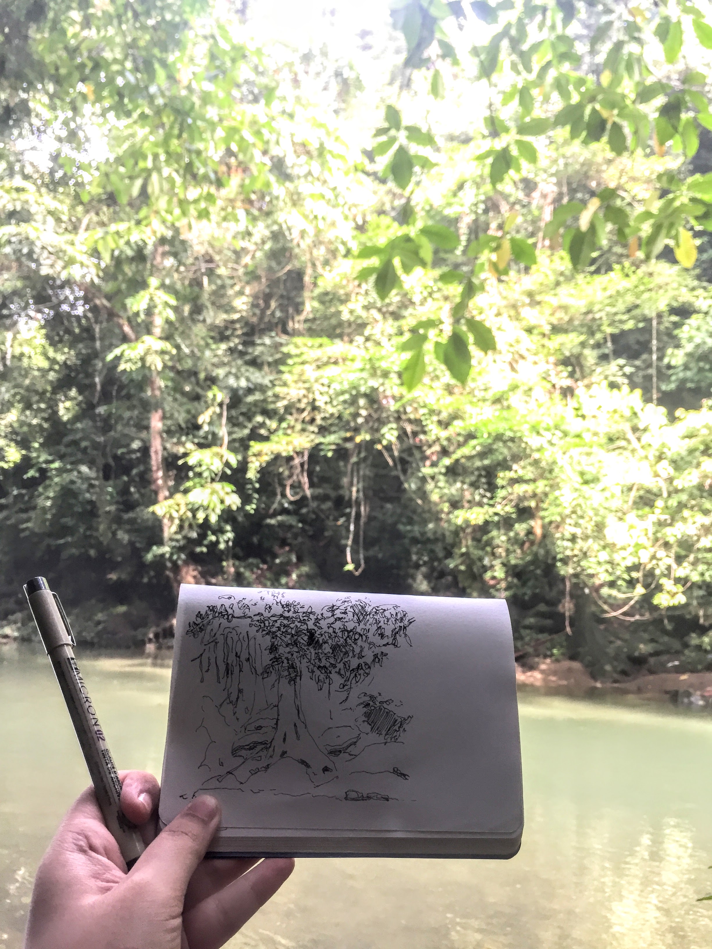 Tangkahan wildlife